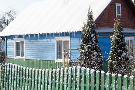 Old wooden house in the belarussian village. Wooden house with a fence made of planks with green spruce in winter.