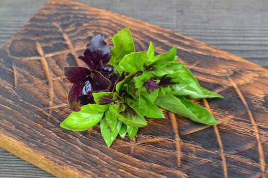 Mix the greens. Green and purple basil on a cutting board. Food background.