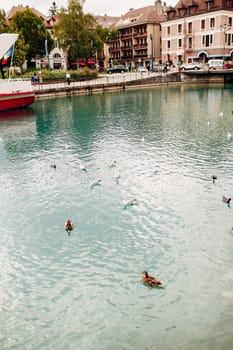 Annecy lake water channel bay with ducks view to marina from Annecy city. High quality photo