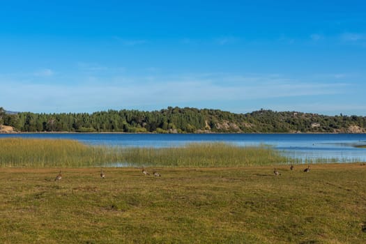 landscape at Alumine Lake, Villa Pehuenia, Argentina