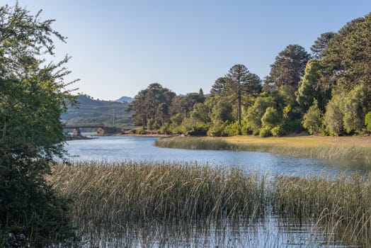 landscape at Alumine Lake, Villa Pehuenia, Argentina