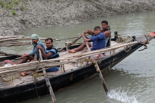 Rowing boat in the swampy areas of the Sundarbans, UNESCO World Heritage Site, India