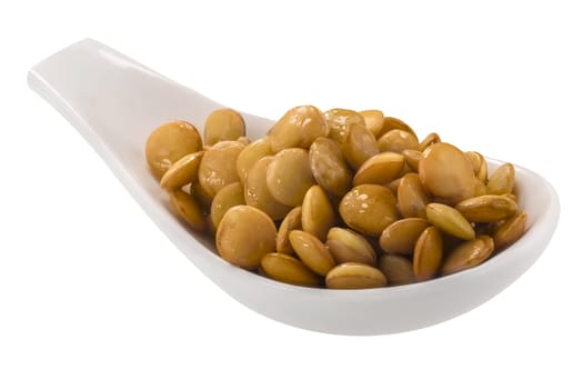 Spoonful of cooked lentils (Lens culinaris seeds) isolated