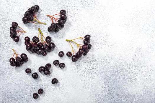 Black chokeberry (Aronia melanocarpa) berries atop grey textured backdrop w/ copy space, top view