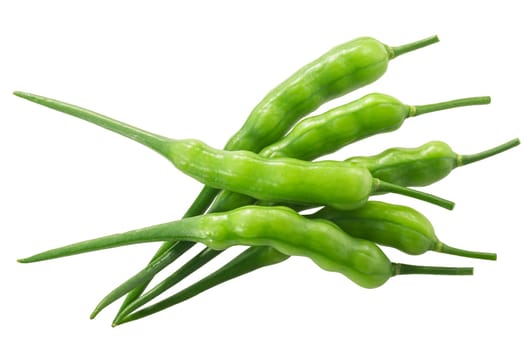 Pile of Radish pods (Raphanus sativus silique) isolated on white