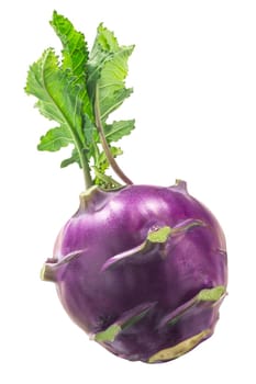 Purple Kohlrabi (Brassiva oleracea var. gongylodes) with leaves isolated
