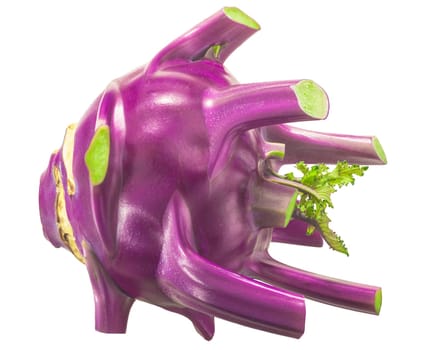 Purple Kohlrabi (Brassiva oleracea var. gongylodes) isolated