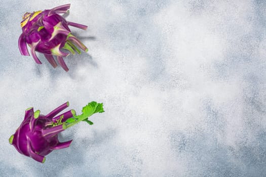 Purple Kohlrabi on grey concrete backdrop, top view