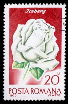 Stamp printed in Romania shows image of an iceberg rosa (rosa iceberg), circa 1970