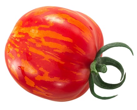 Striped Stuffer heirloom tomato, whole fruit, isolated