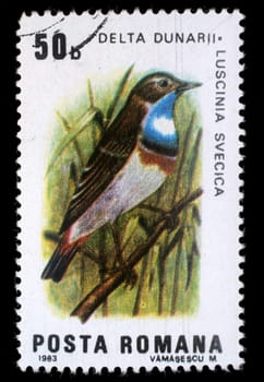 Stamp printed by Romania, shows Bluethroat(Luscinia svecica),  circa 1983
