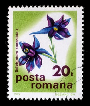 Stamp printed in Romania shows Larkspur or Delphinium, series, circa 1975