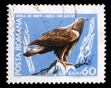 Stamp printed by Romania, show Golden eagle, circa 1968.