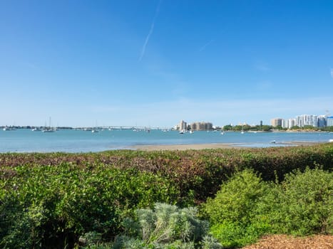 Sarasota Bay is a lagoon located off the central west coast of Florida in the United States. Though no significant single stream of freshwater enters the bay, with a drainage basin limited to 150 square miles in Manatee and Sarasota Counties.
