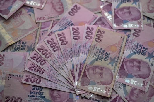 Numerous Turkish lira notes fan out, showcasing the detailed designs and the rich colors of the currency collection.