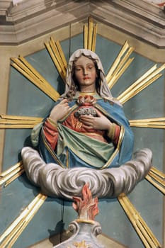 Immaculate Heart of Mary