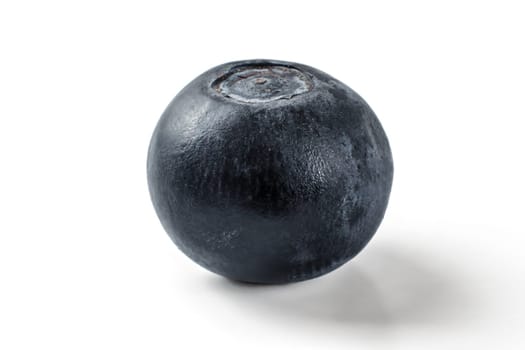 Single blueberry isolated on white background.