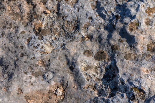Intricate patterns and textures spread across a weathered rock illuminated by sunlight, revealing nature's artistry.