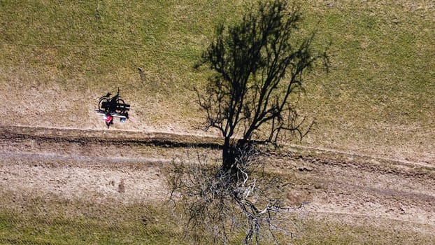Aerial drone shot of a tree and a bench with a cyclist with light and shadow
