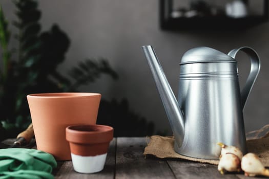 Ceramic pots on an old gray wooden table, tulip bulbs, watering can, green gloves and garden shovel. High quality photo