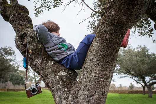 Child boy resting over tree after taking pictures in nature. Children discover nature through the photography