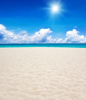 beautiful beach and tropical sea