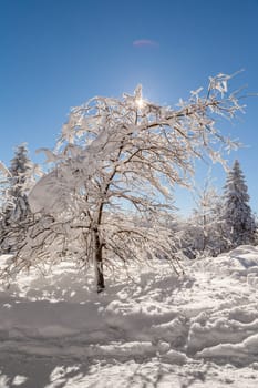 A snow covered landscape Czech Republic - Pustevny, Beskydy. High quality photo