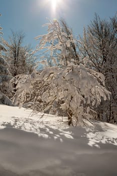 A snow covered landscape Czech Republic - Pustevny, Beskydy. High quality photo