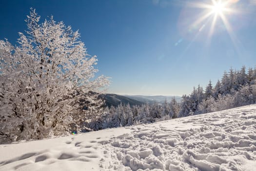 A snow covered landscape Czech Republic - Pustevny, Beskydy. High quality photo