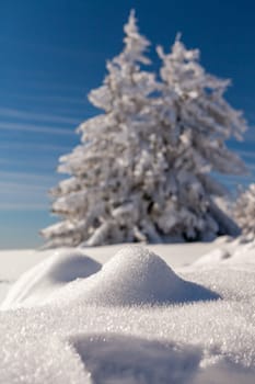 A snow covered landscape Czech Republic - Pustevny, Beskydy. High quality photo