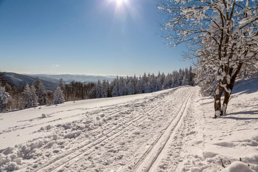 A snow covered landscape Czech Republic - Pustevny, Beskydy. High quality photo