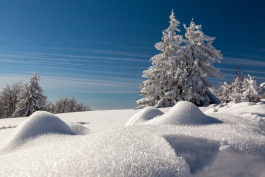 A snow covered landscape Czech Republic - Pustevny, Beskydy. High quality photo