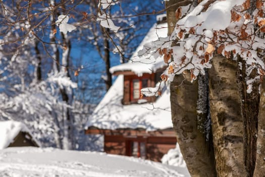 A snow covered landscape Czech Republic - Pustevny, Beskydy. High quality photo