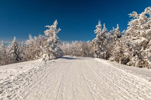 A snow covered landscape Czech Republic - Pustevny, Beskydy. High quality photo