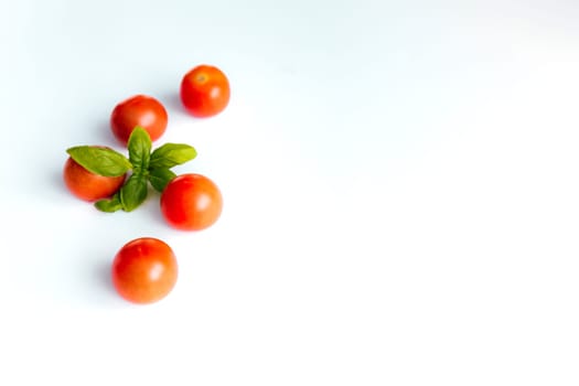 Red cherry tomatoes with green basil on a white background. High quality photo