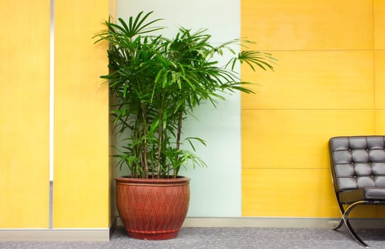 plant decoration in office building