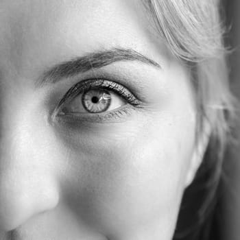 Closeup picture of beautiful rouged eyes, make-up