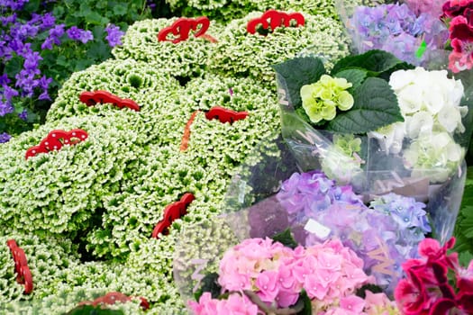 Shop with a variety of colorful spring flowers. Selaginella and hydrangea, flowers bouquets for holiday, bright background