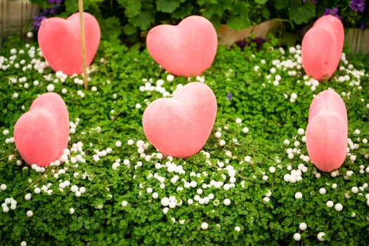 Green plant in pots and pink heart on a stick as a gift for Valentines day or Mothers day.