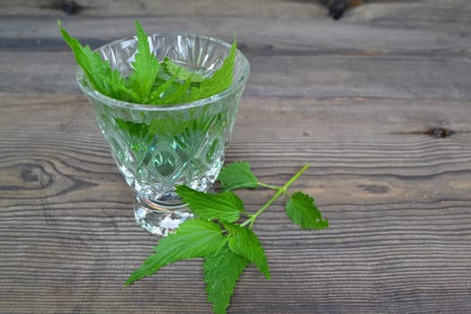 fresh herbal nettle tea and fresh nettle leaves. A cup of nettle tea with fresh nettles on the dark table.