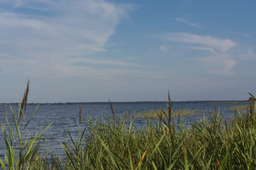 Bodden landscape. View from the bay to the sea. Fischland-Darß-Zingst, near Wieck am Darß