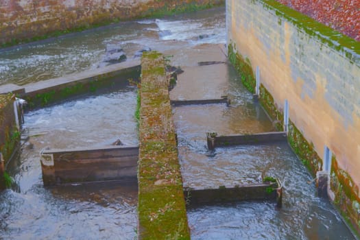 Fish ladder in Valkenburg, the Netherlands. Stairs for fish to overcome a height difference