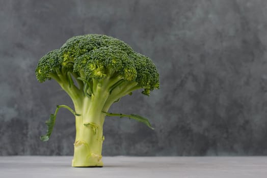 Fresh broccoli on a textured background, empty space for text
