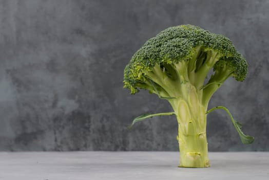 Fresh broccoli on a textured background, empty space for text