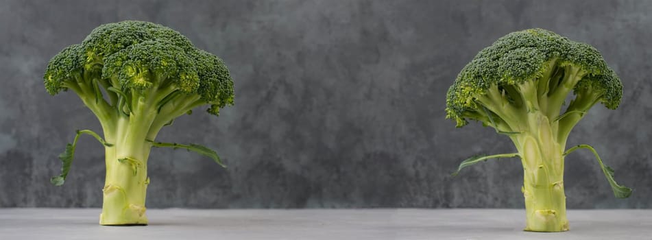 Fresh broccoli on a textured background, empty space for text