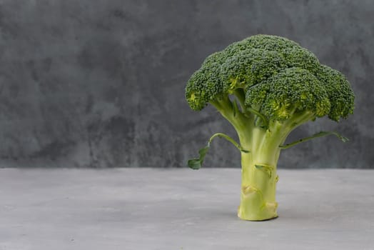 Fresh broccoli on a textured background, empty space for text