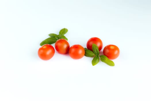 Red cherry tomatoes with green basil on a white background. High quality photo