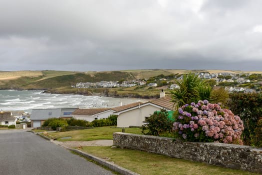 view of the bay and the beach of touristic village  in Cornwall with a large hydrangea in foreground, shot in bright light with many unrecognisable surfers among the waves. .