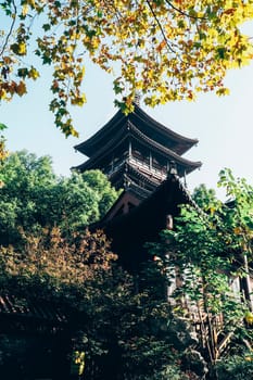 Traditional temple Shrine architecture in Osaka with autumn leaves in Japan China Fall Leaves.