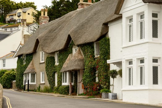 view of old cottage with straw roof covered with vine in the small village in Cornwall.